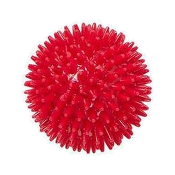 Spiky ball