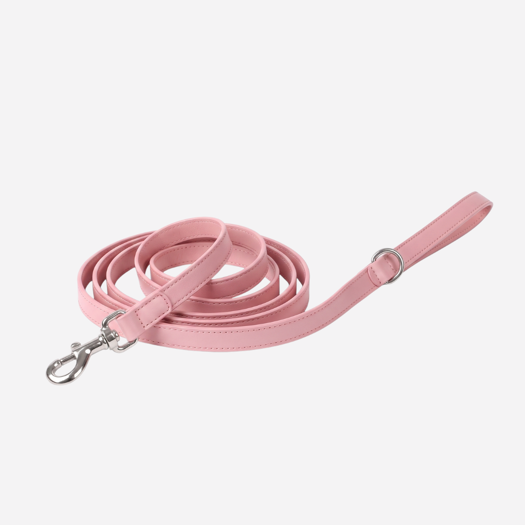 The Zoomie Everyday Leash