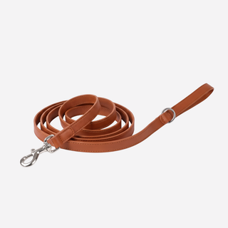 The Zoomie Everyday Leash