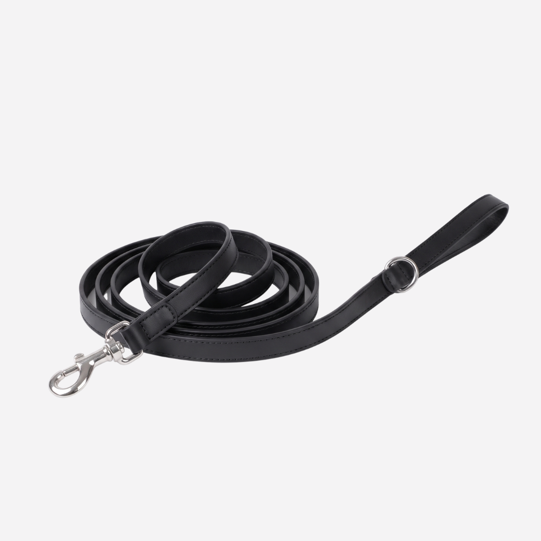 The Zoomie Everyday Leash