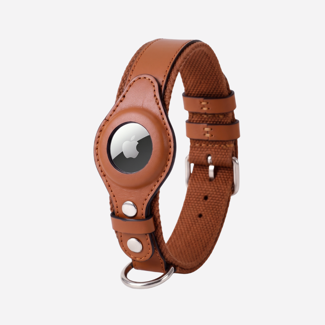 The Zoomie Tracker Collar for AirTag