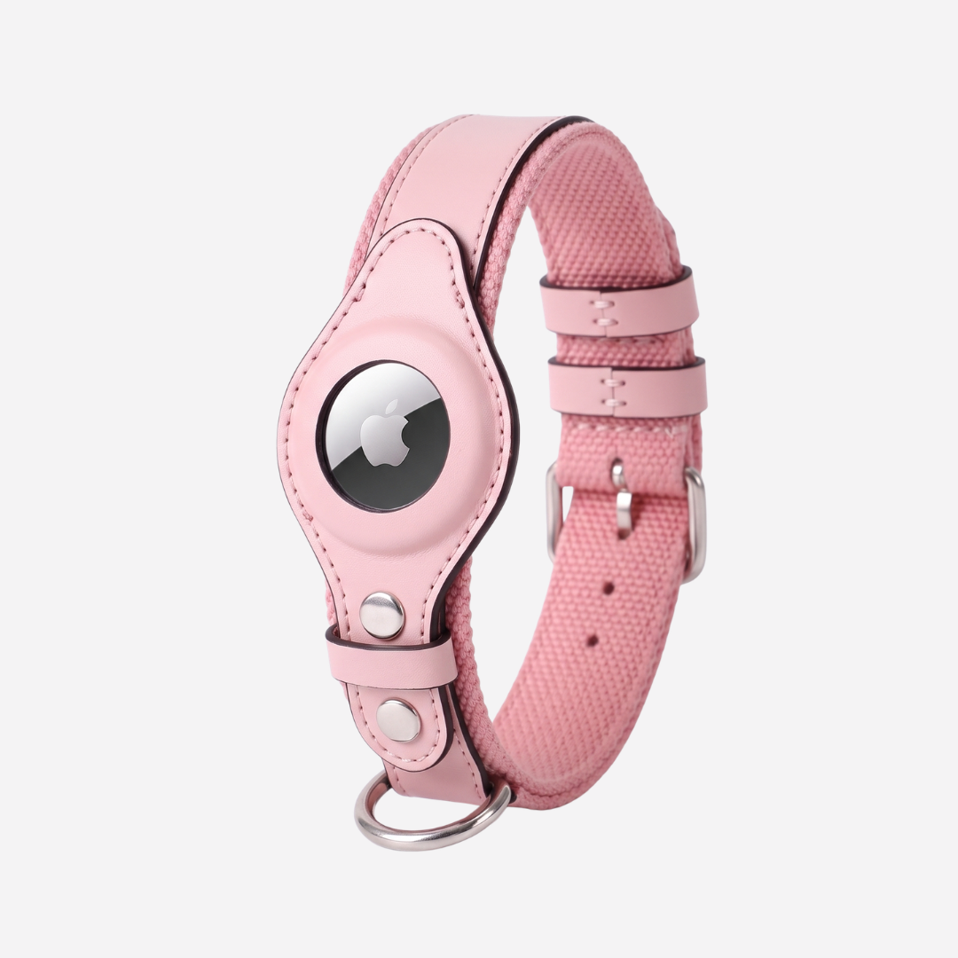 The Zoomie Tracker Collar for AirTag