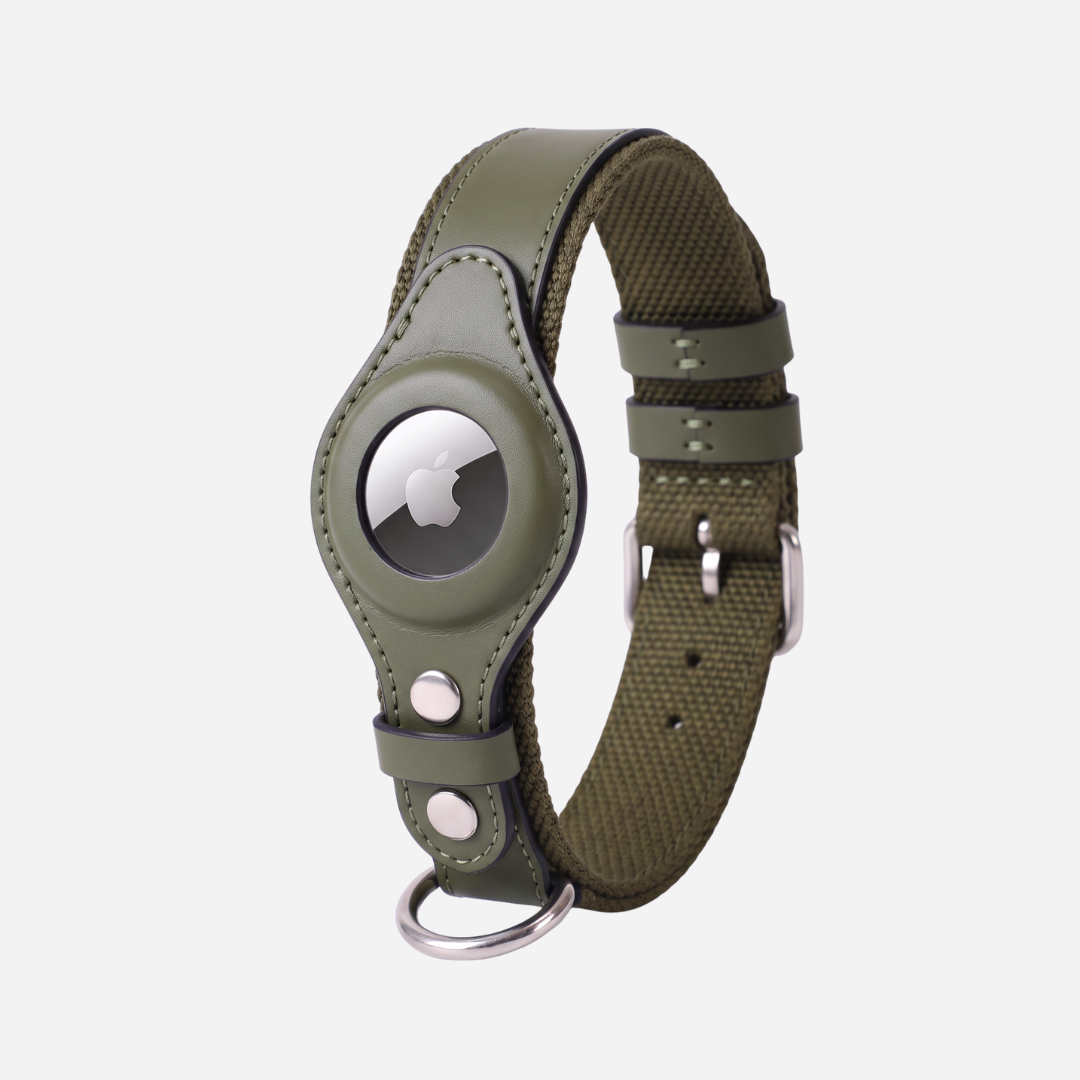 The Zoomie Tracker Collar for AirTag
