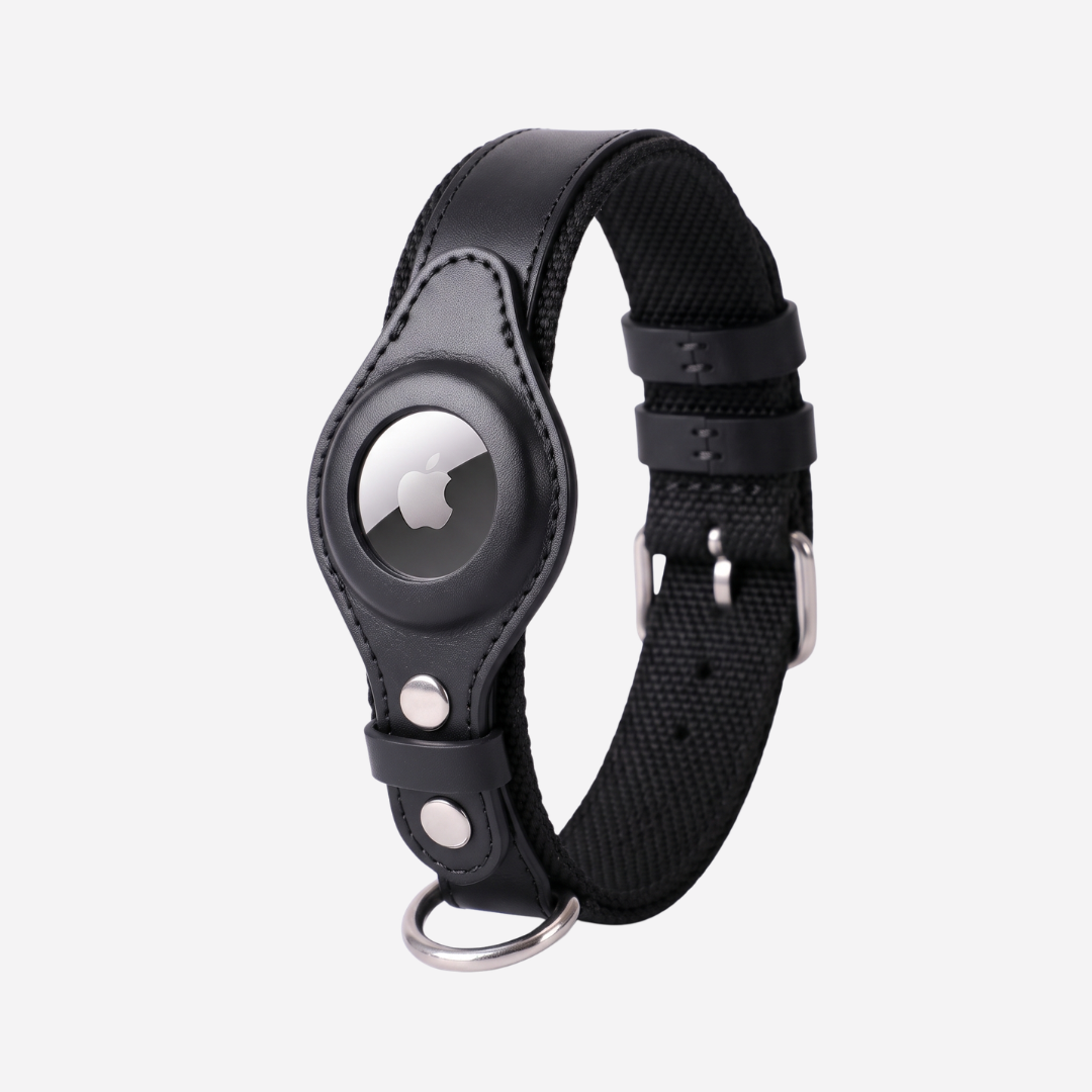 The Zoomie Tracker Collar for AirTag