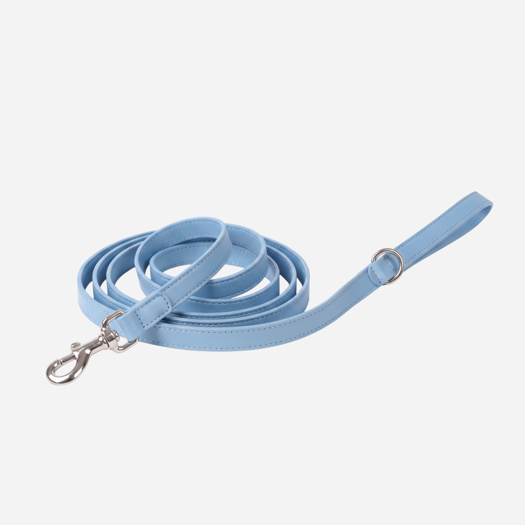 The Zoomie Everyday Leash