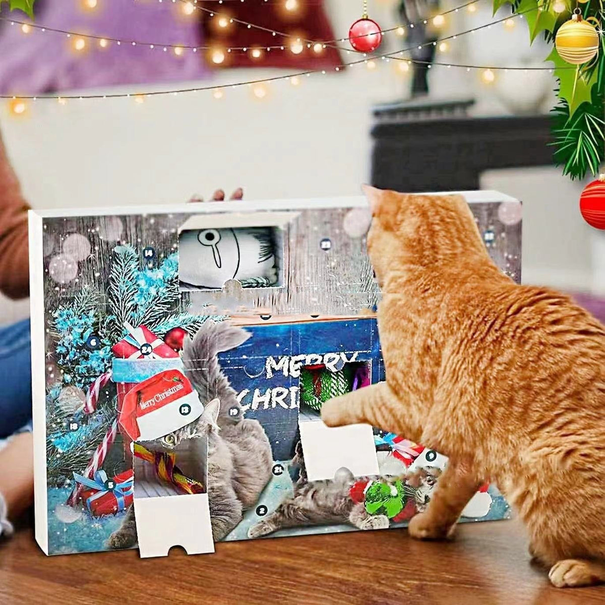A cat opening a door of the Zoomie Advent Calendar for Cats