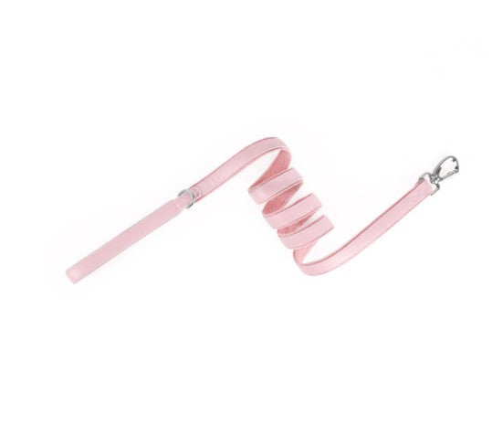 Zoomie Everyday Leash in Strawberry