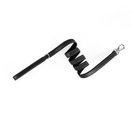 Zoomie Everyday Leash in Blackberry