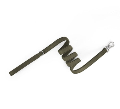 Zoomie Everyday Leash in Matcha