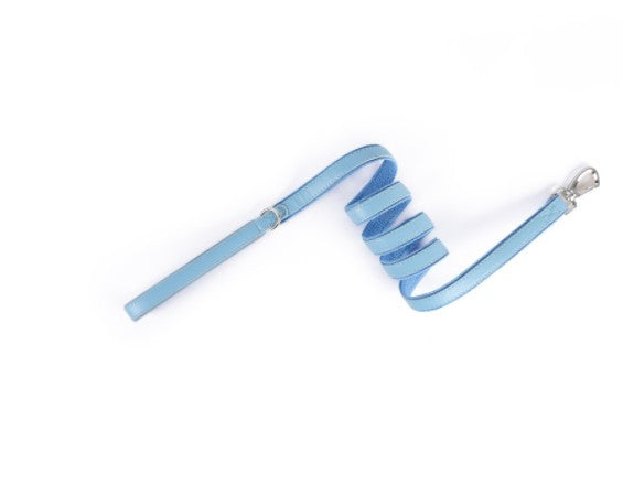 Zoomie Everyday Leash in Blueberry