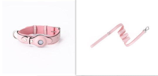 Zoomie Tracker Collar and Everyday Leash in Strawberry