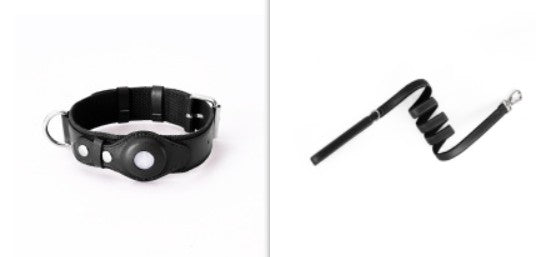 Zoomie Tracker Collar and Everyday Leash in Blackberry