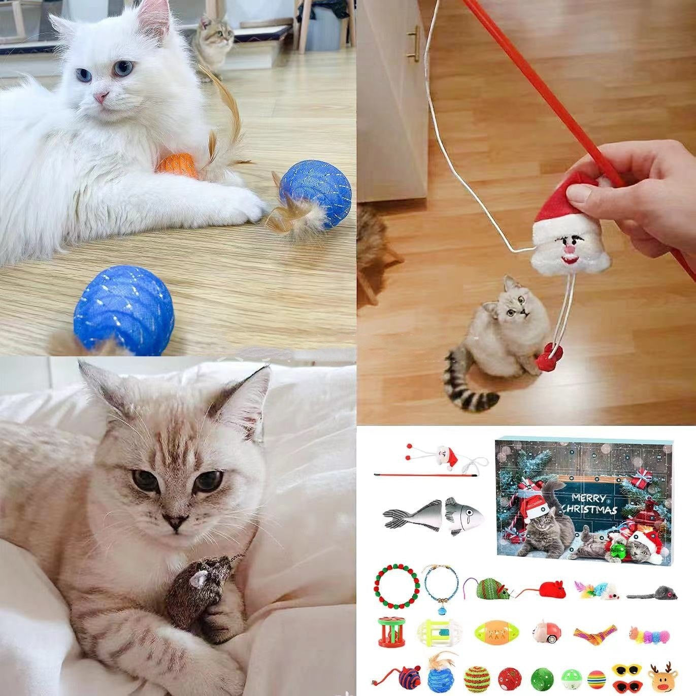 Cats playing with toys from the calendar